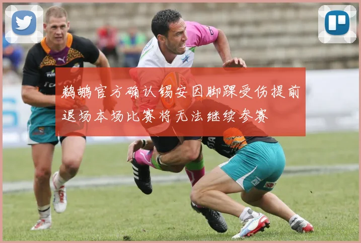 鹈鹕官方确认锡安因脚踝受伤提前退场本场比赛将无法继续参赛
