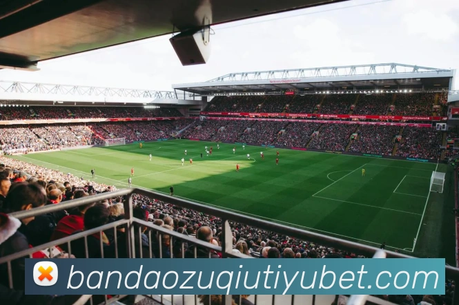 半岛体育平台生态图